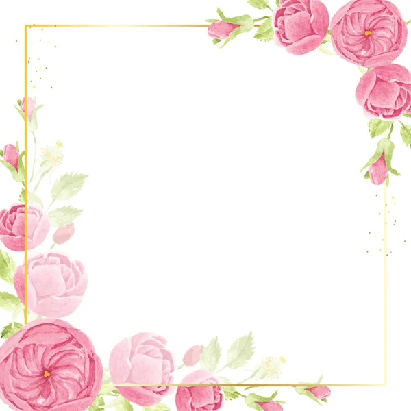 Aquarela Rosa Inglês Rosa Com Moldura Quadrada Luxo Dourado Com — Vetor de Stock