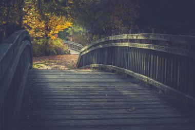 sonbahar yaprakları ile manzara. Retro tarzı filtre, akçaağaç yaprakları