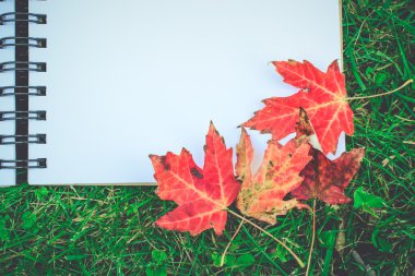 Açık boş defter ve kalem yeşil gras ile kırmızı akçaağaç yaprağı