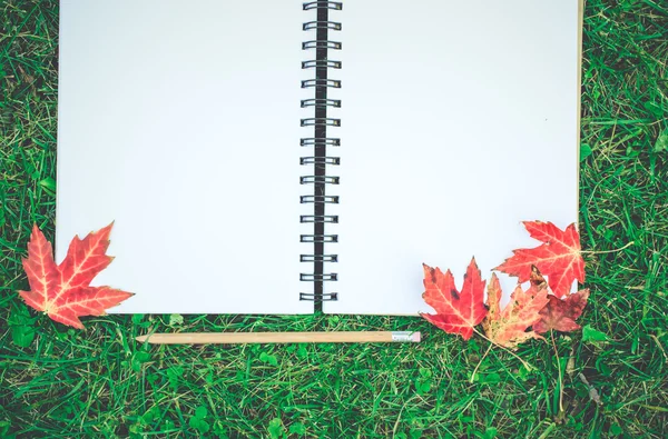 Rood esdoornblad op open lege notitieboekje en potlood met groen gras — Stockfoto
