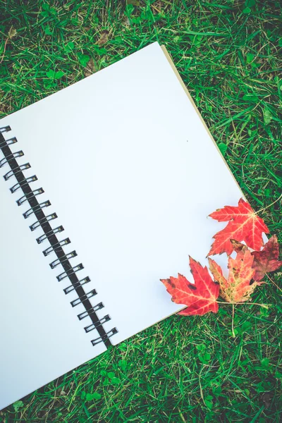 空白のノートブックを開くと緑の鉛筆の赤いカエデの葉 — ストック写真