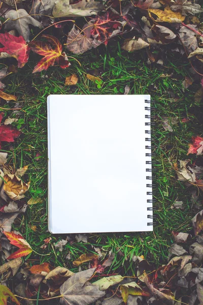 Boş kapaklar ile not defteri olarak kopya alanı üzerinde düşen sonbahar yaprakları — Stok fotoğraf