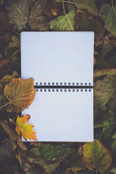 Carnet sur fond de feuilles d'automne tombées, image tonique rétro — Photo