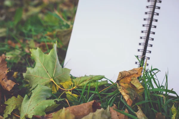 Arka plan, Retro tonlu görüntü defter üzerinde düşen sonbahar yaprakları — Stok fotoğraf
