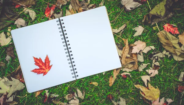 Cuaderno con tapas en blanco como espacio de copia en hojas caídas de otoño —  Fotos de Stock