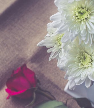 Jüt arka planda vin güneş ışığı ile güzel beyaz çiçekler