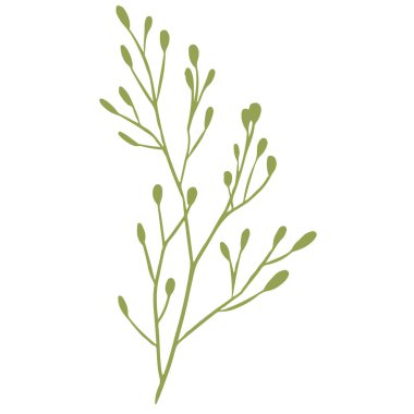 Yeşil yapraklı bir dalın vektör çizimi. Siluet. Kumaş, baskı, duvar kağıdı, ambalaj, poster, ilaç, güzellik, kartpostallar için tasarım.