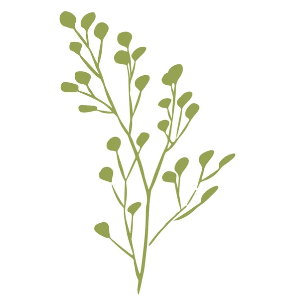 葉を持つ緑の枝のベクトル図 シルエット ポスター 美しさ ポストカードのためのデザイン — ストックベクタ
