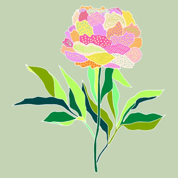 Ilustração Vetorial Uma Flor Peônia Com Elementos Folhas Fundo Verde — Vetor de Stock