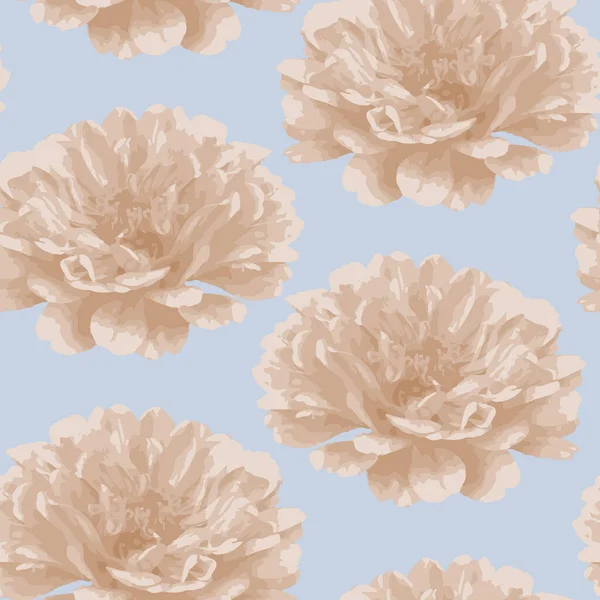 Vektornahtloses Muster Von Chrysanthemenblüten Rosa Blume Auf Blauem Hintergrund Design — Stockvektor