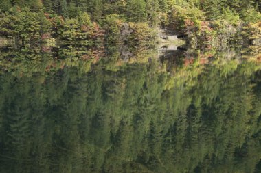 Güzel sahne Jiuzhaigou, Sichuan Eyaleti, Çin