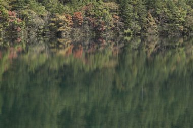 Güzel sahne Jiuzhaigou, Sichuan Eyaleti, Çin