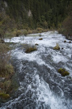Güzel sahne Jiuzhaigou, Sichuan Eyaleti, Çin