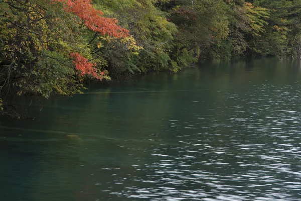 Güzel sahne Jiuzhaigou, Sichuan Eyaleti, Çin
