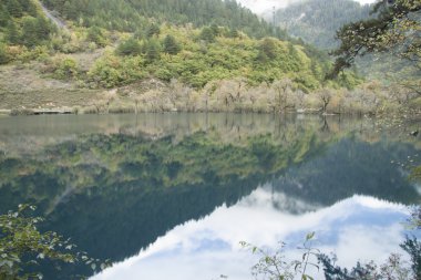 Güzel sahne Jiuzhaigou, Sichuan Eyaleti, Çin