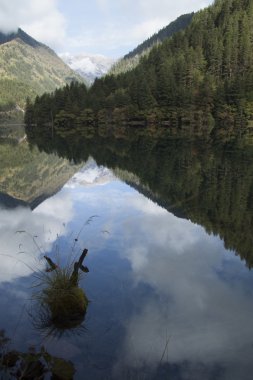 Güzel sahne Jiuzhaigou, Sichuan Eyaleti, Çin