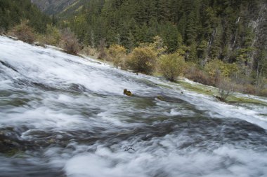 Güzel sahne Jiuzhaigou, Sichuan Eyaleti, Çin