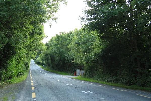 Hermosa carretera rural en Irlanda —  Fotos de Stock