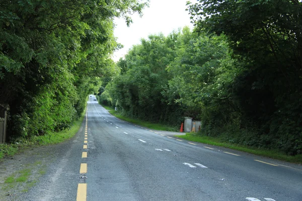 Beautiful countryroad in Ireland — Stock Photo, Image