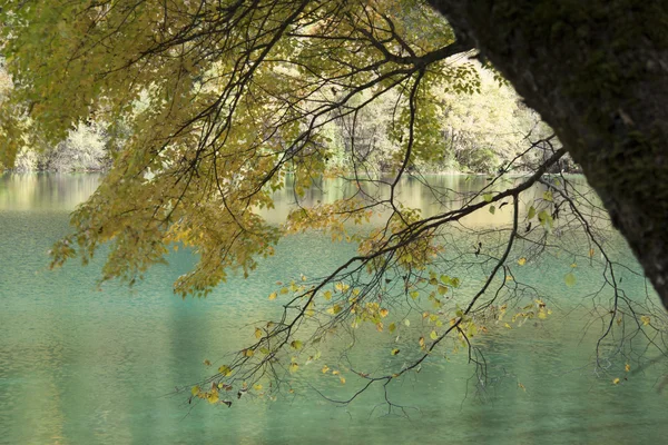 Beaux paysages à Jiuzhaigou, province du Sichuan, Chine — Photo