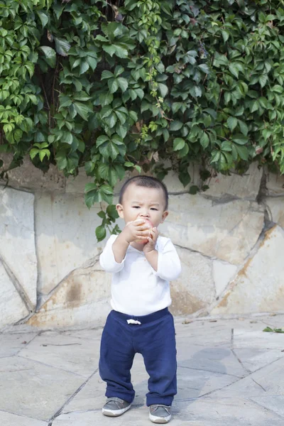 Lindo niño chino comiendo una manzana — Foto de Stock