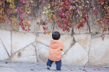 Boston Ivy önünde duran mutlu Çinli bebek çocuk