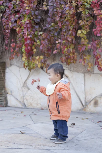 Boston Ivy önünde duran mutlu Çinli bebek çocuk