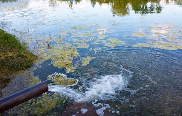 Las aguas residuales del alcantarillado contaminan el lago, el río — Foto de Stock