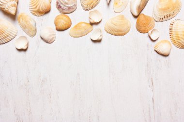 desen kabukları beyaz bir arka planda Üstten Görünüm