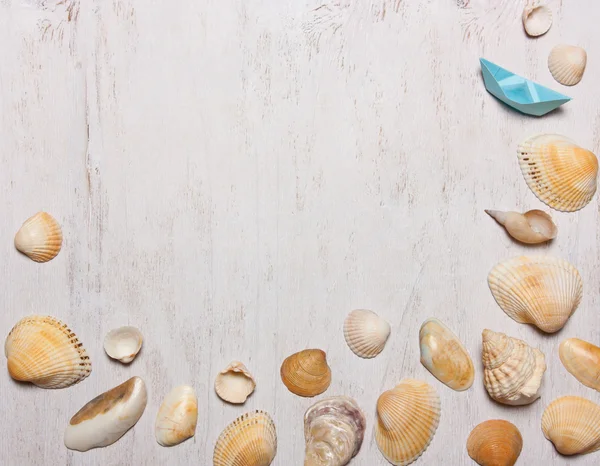 desen kabukları beyaz bir arka planda Üstten Görünüm