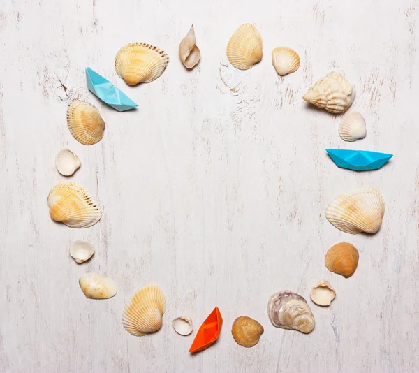 pattern, composition of shells on a white background, top view.