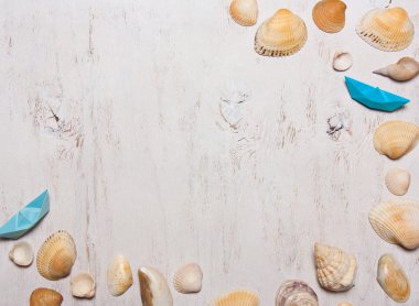 desen, kompozisyon kabukları beyaz bir arka planda Üstten Görünüm