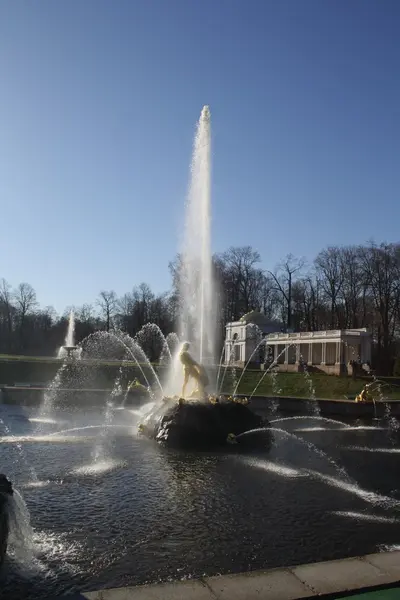 Peterhof 샘 슨 — 스톡 사진