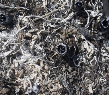 kül yanmış çim dan