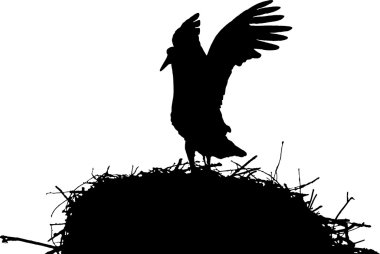 Leylek yuvası üzerinde