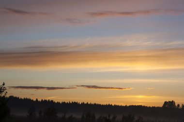 Günbatımı orman yukarıda