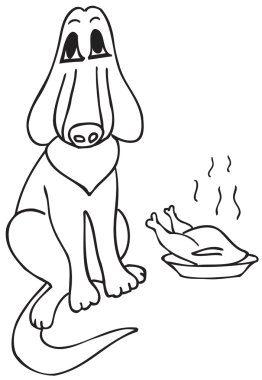 bir kase tavuk oturan köpek