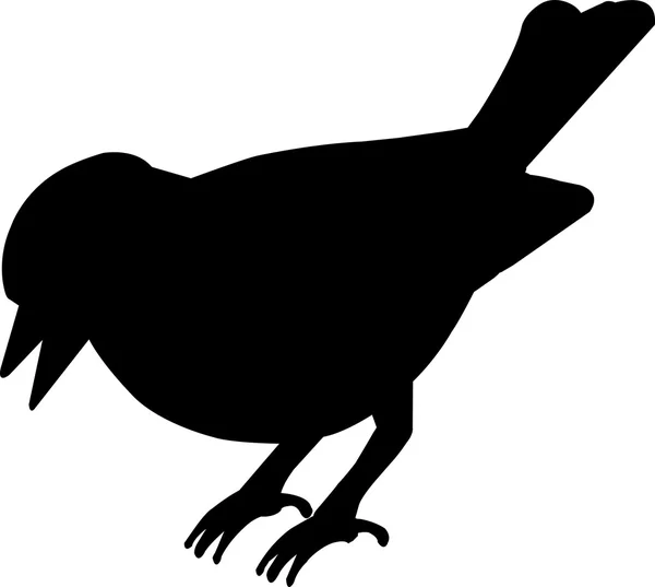Птичий векторный силуэт — стоковый вектор