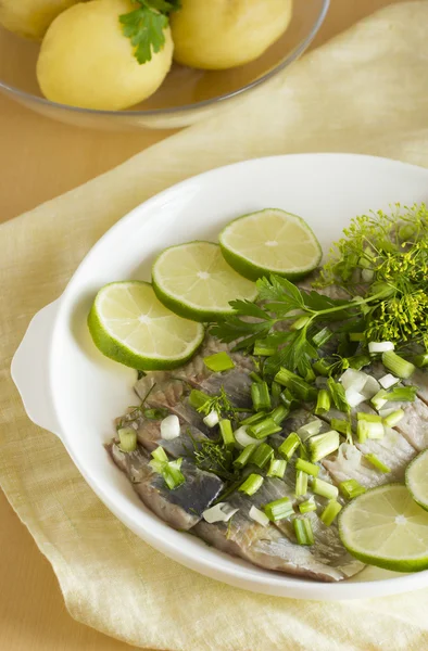 Sill och strömming — Stockfoto