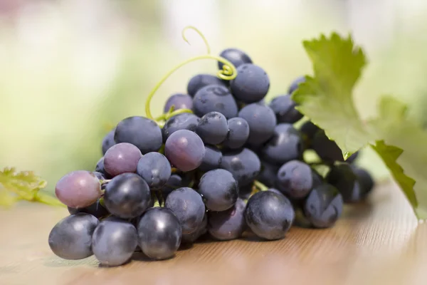 Uvas Imagen De Stock