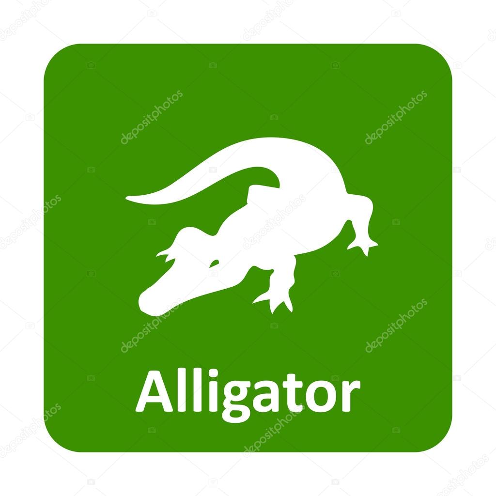 Alligator vector icon for web and print