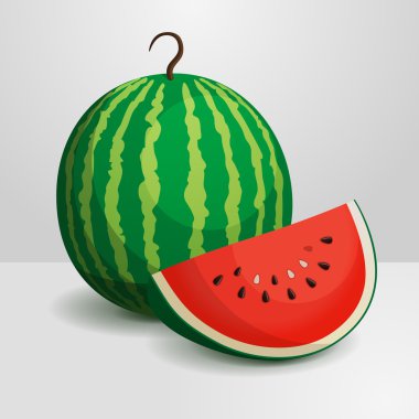 vektör karpuz