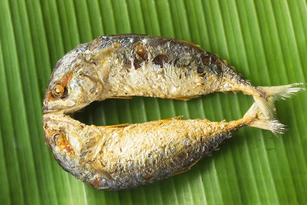 Twee makreel op bananenblad Stockafbeelding