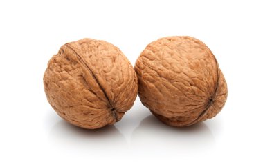 Bir çift beyaz izole ceviz