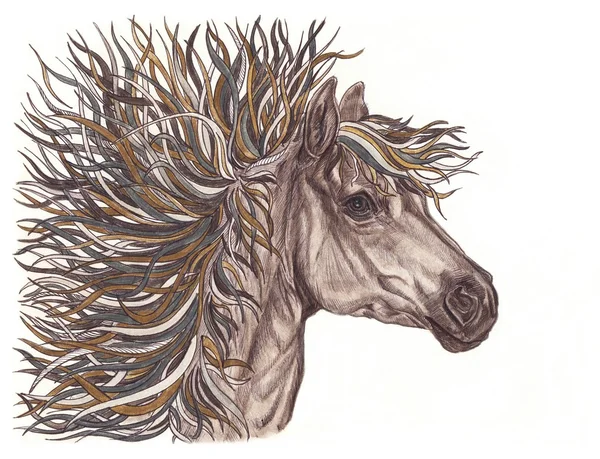 Belle illustration de cheval avec crinière créative marron vif . — Photo