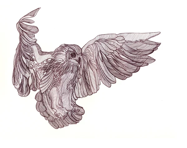 Graficzny ilustracja latający Sowa. Czarno bialy styl. — Zdjęcie stockowe