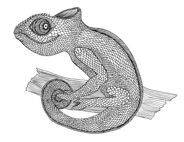 Profile Lizard.Chameleon. Hand drawn.Graphic style clipart