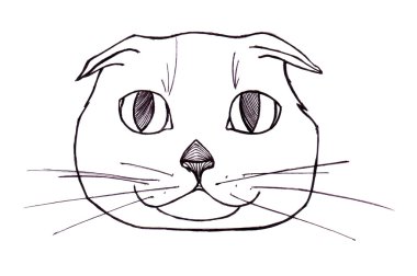 Kafa kedi siyah ve beyaz. Boyalı eller. Grafik stili.