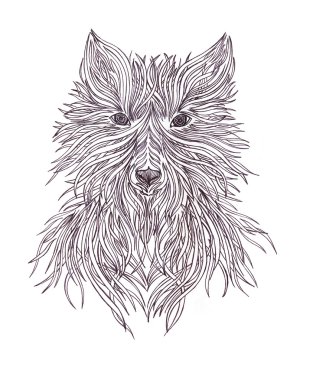 Baş yırtıcı vahşi hayvan kurt. El yapımı siyah-beyaz grafik.