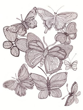 Farklı güzel kelebekler topluluğu. Graghic el çizmek